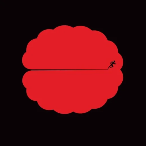 My life on brain enhancers for the Guardian